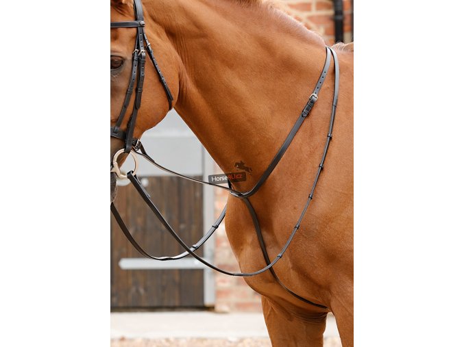 Gressan Standing Martingale RGBx900