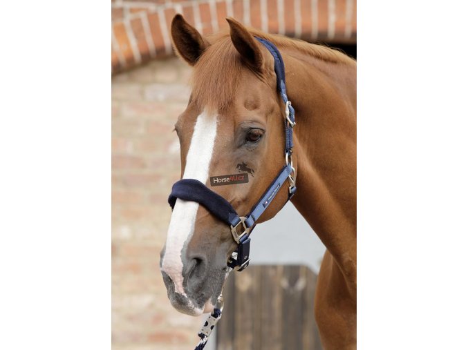 SS19 Padded Fleece Head Collar Navy Main Image RGB 72 zoom