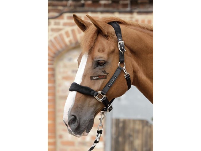 SS19 Padded Fleece Head Collar Black Main Image RGB 72 zoom