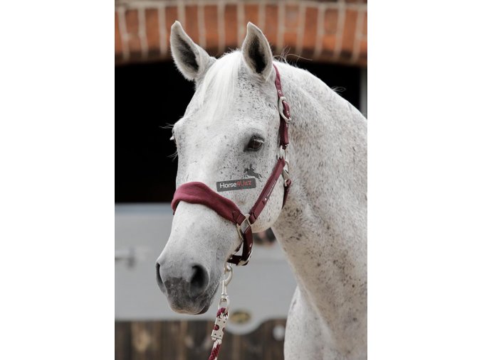 SS19 Padded Fleece Head Collar Burgundy Main Image RGB 72 zoom