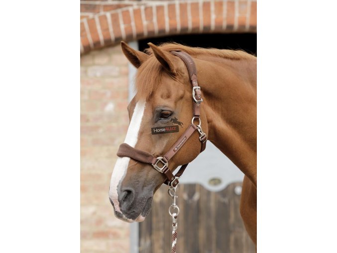 SS19 Padded Fleece Head Collar Brown Main Image RGB 72 zoom