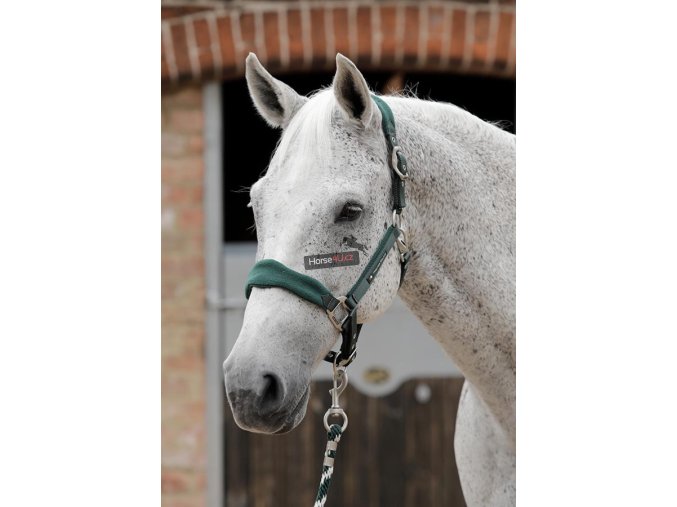 SS19 Padded Fleece Head Collar Green Main Image RGB 72 zoom