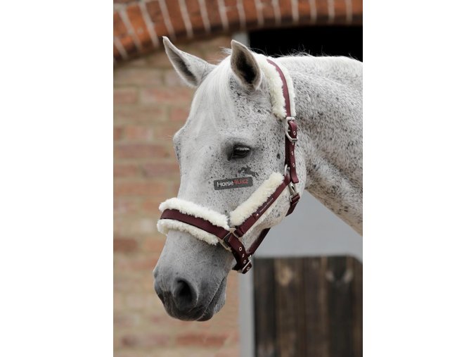 SS19 Techno Wool Lined Head Collar Burgundy Main Image RGB 72 zoom