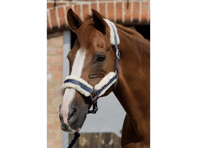 SS19 Techno Wool Lined Head Collar Navy Main Image RGB 72 zoom