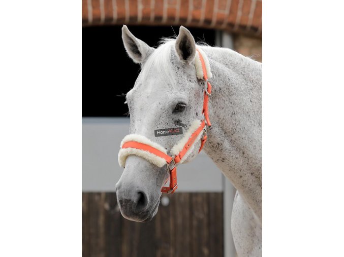 SS19 Techno Wool Lined Head Collar Orange Main Image RGB 72 zoom