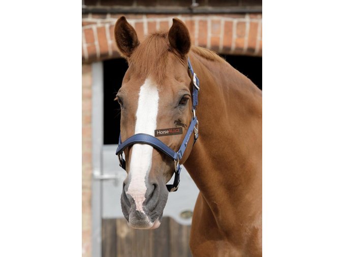 SS19 Plain Padded Head Collar Navy Main Image RGB 72 zoom