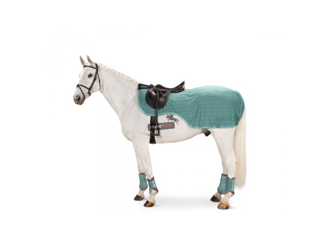 b42ffc57369484cc3a1552dc16bb67a6