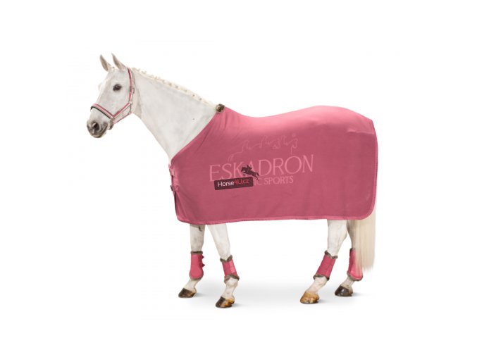 2e3724730038b8dbe8e375ab3d04ff1c