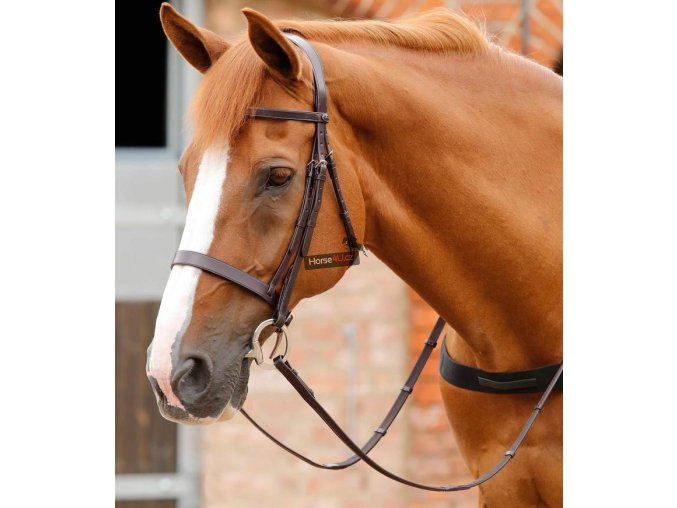 Primo Hunter Bridle Brown 1 768x