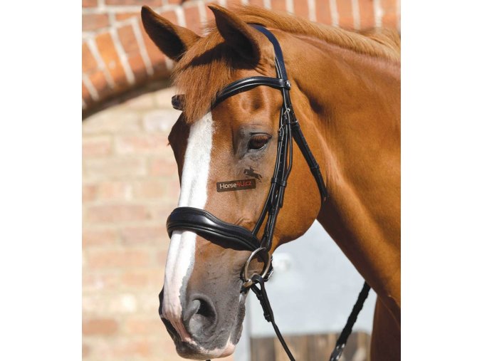 Verdura Anatomic Snaffle Bridle Black 1 1024x