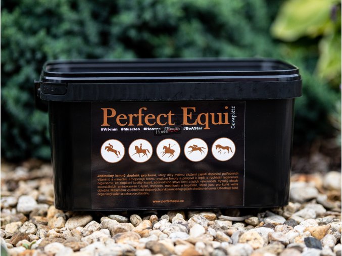 Perfect Equi - COMPLETE