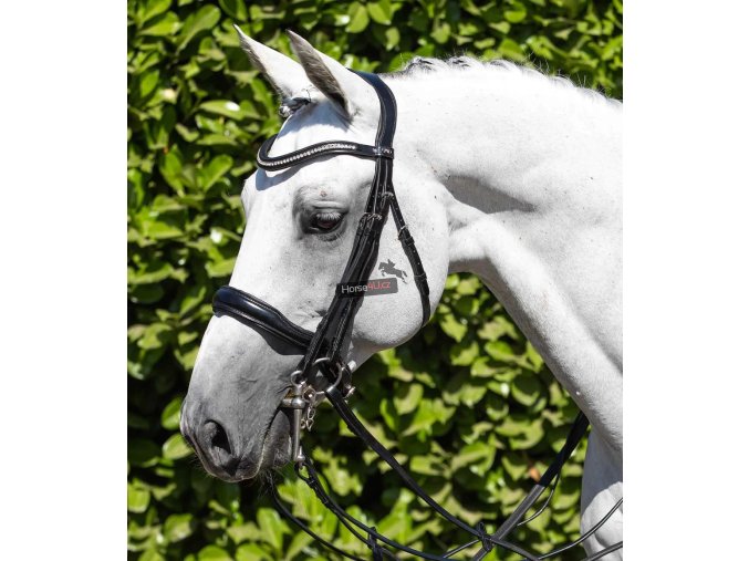 Abriano Anatomic Double Bridle with Crank Noseband Black 7 1024x