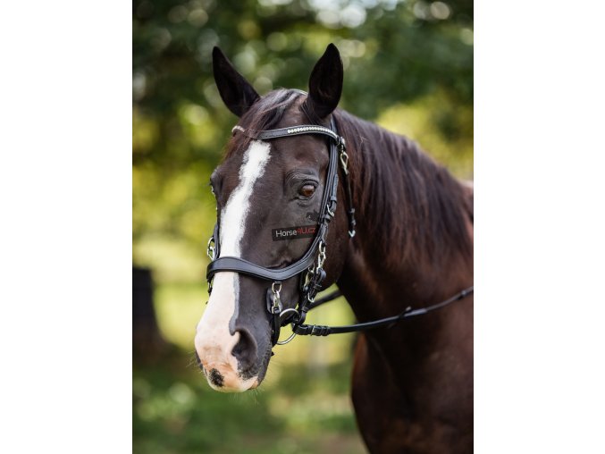 horse4u 35