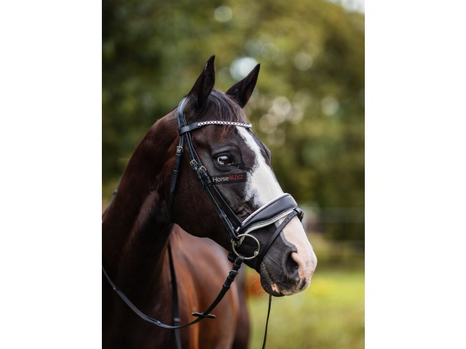 horse4u 44