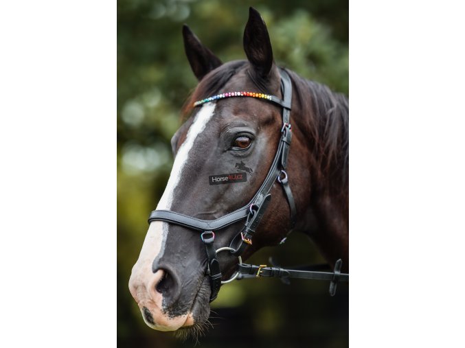 horse4u 21