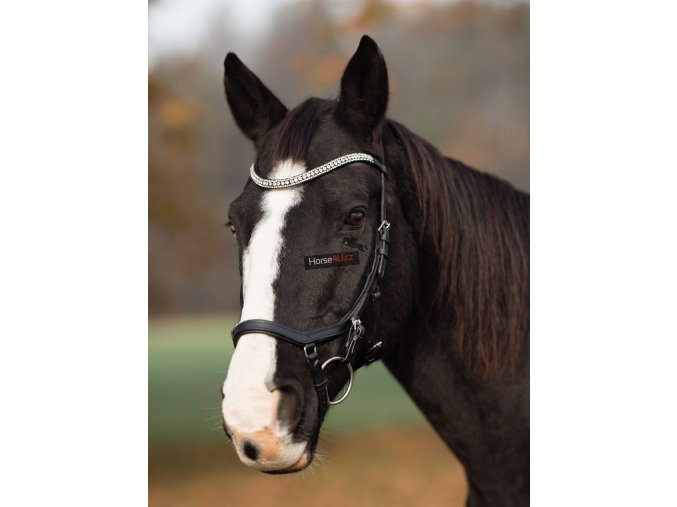 horse4u 47