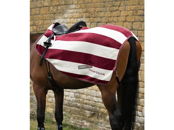 Snímek obrazovky 2025 10 02 132757