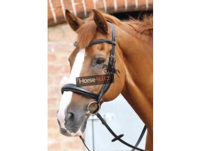 SS20 Lambro Anatomic Bridle with Crank Noseband Black Main Image 72 RGB zoom