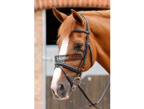 8 Delizioso Snaffle Bridle Black Webx900