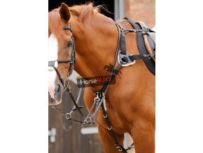 Invorio 5 Point Breastplate RGBx900