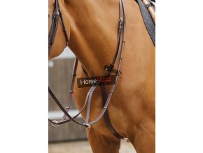 Fuscaldo Running Martingale brown RGBx900