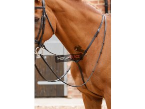Gressan Standing Martingale RGBx900
