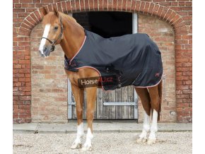 AW20 Horse Walker Rug 100g Black Main Image 72 RGB zoom