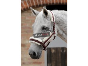 SS19 Techno Wool Lined Head Collar Burgundy Main Image RGB 72 zoom