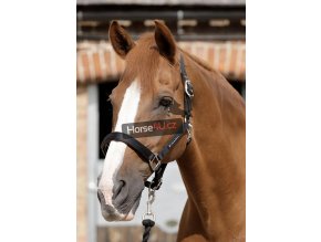 SS19 Plain Padded Head Collar Black Main Image RGB 72 zoom