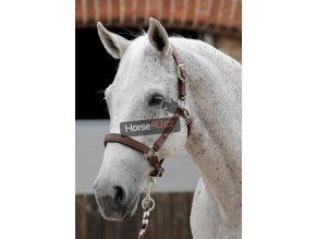 SS19 Plain Padded Head Collar Brown Main Image RGB 72 zoom