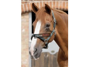 SS19 Plain Padded Head Collar Green Main Image RGB 72 zoom