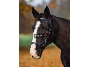 horse4u 39