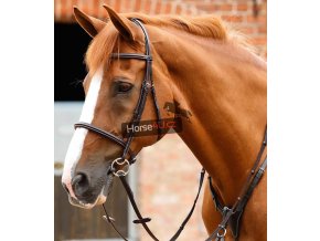 Mossimo Cavesson Bridle Brown 1 768x