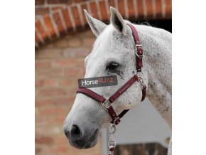 Plain Padded Head Collar Burgundy 768x