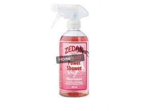 428 13156fbb power shower klein