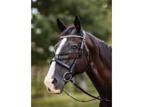 horse4u 48