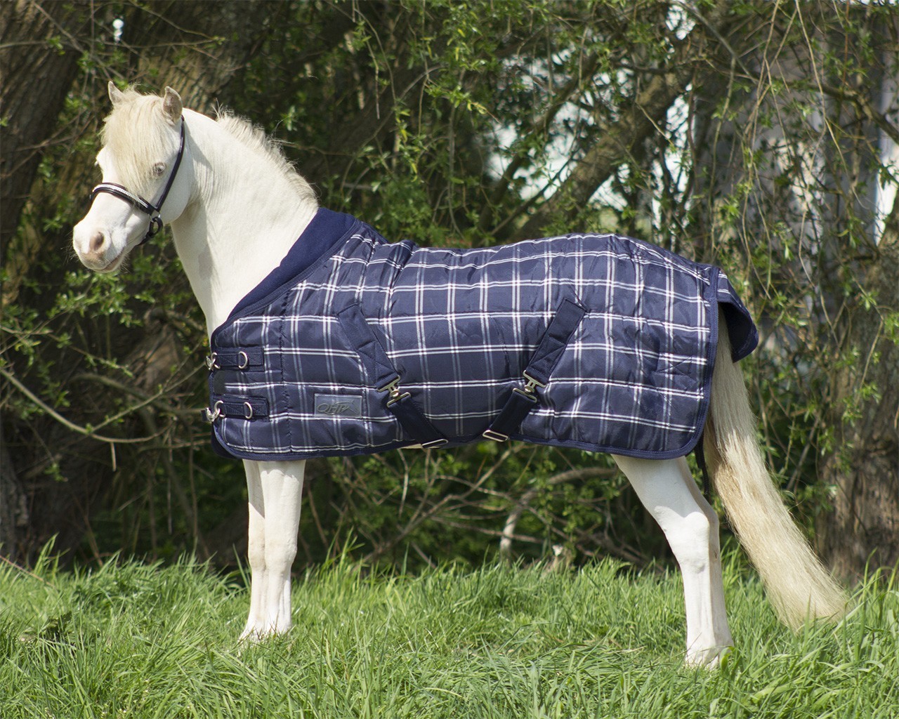 Stájová deka QHP Falabella 200g Blue Check Barva: Modrá, Délka: QHP 90 cm / Standard 60 cm