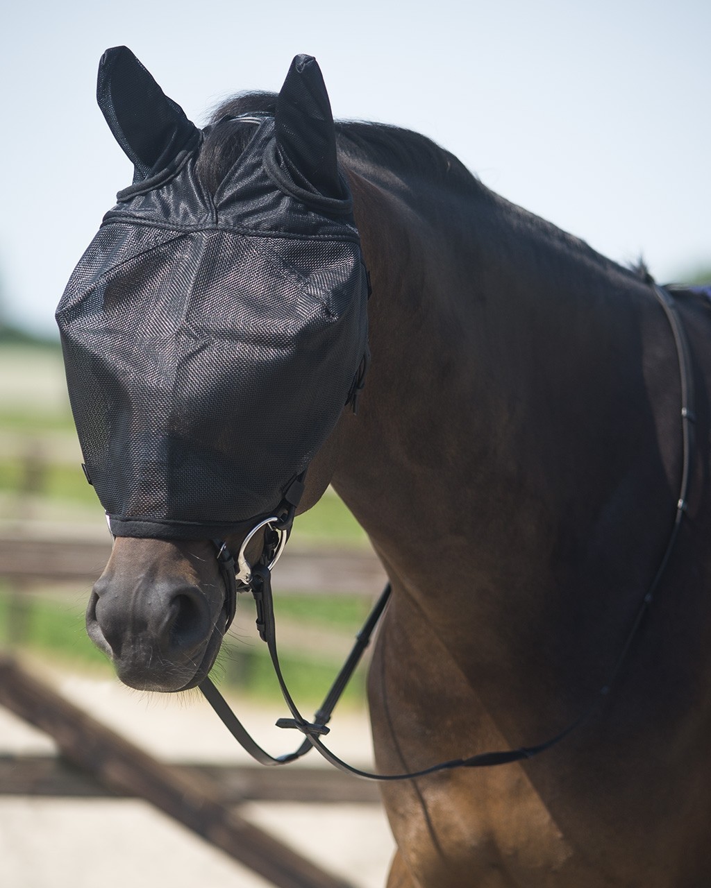 Jezdecká maska QHP Barva: Černá, Velikost: Pony