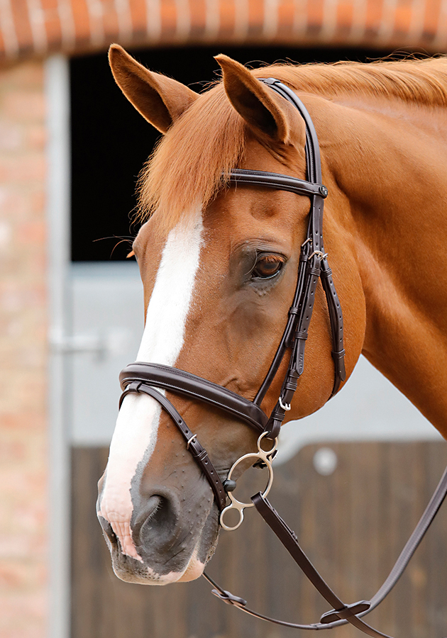 Uzdečka Premier Equine Delizioso Brown Barva: Hnědá, Velikost: Cob