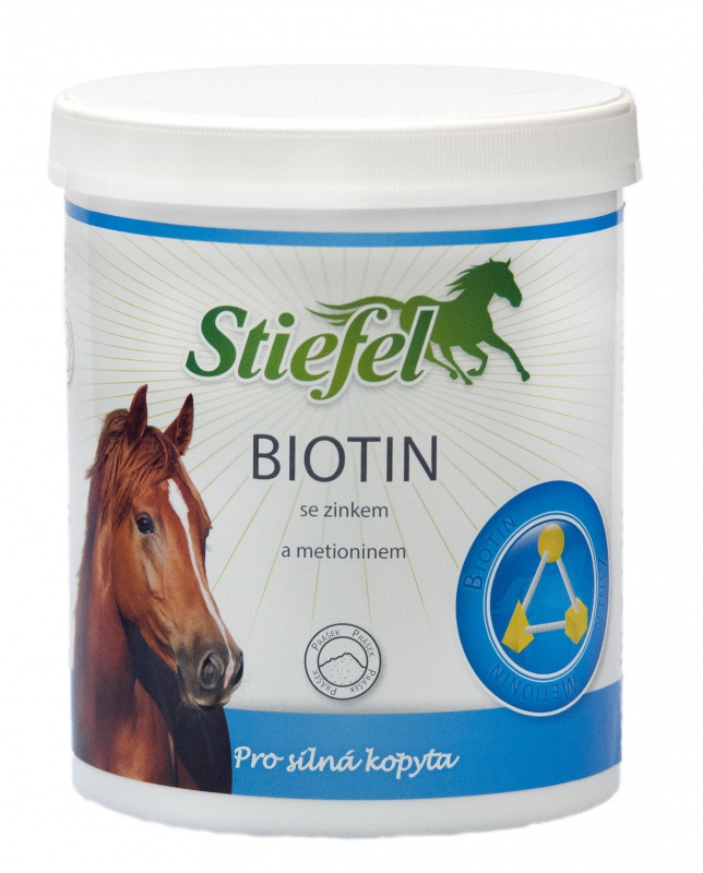 Biotin prášek 1 kg