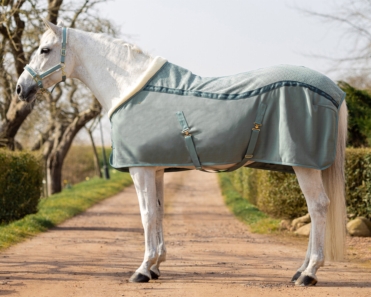 Výstavní deka QHP Equestrian Dream Dusty Olive Délka: QHP 185 cm / Standard 135 cm