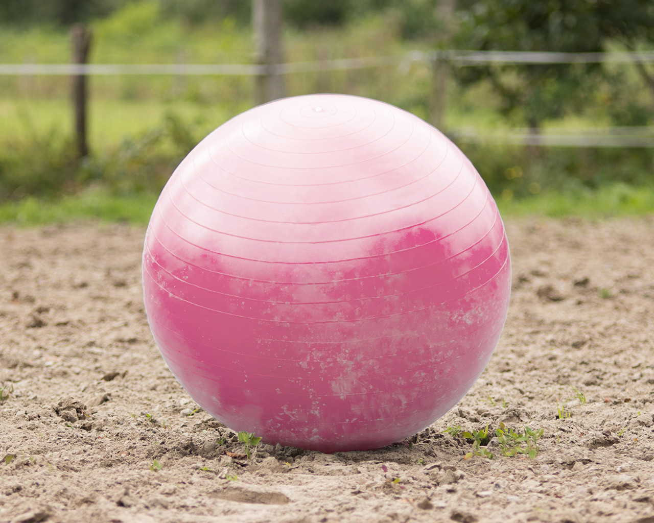 Koňský balón QHP Barvy: pink (růžová)