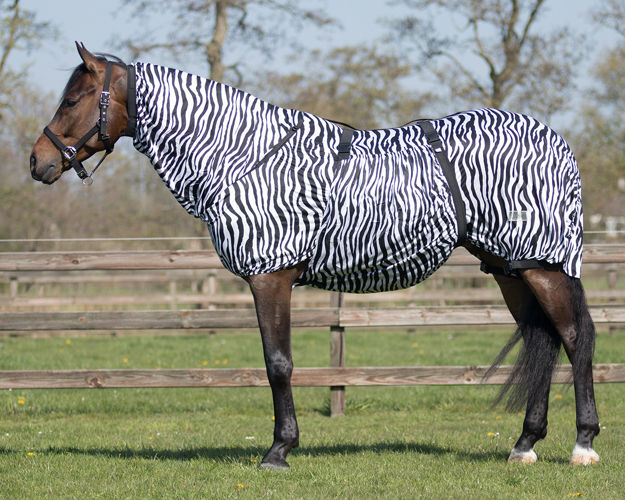 Síťová deka s krkem QHP Eczema Barva: Zebra, Délka: QHP 125 cm / Standard 90 cm
