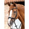 SS20 Savuto Anatomic Bridle with Crank Noseband and Flash Black Main Image 7