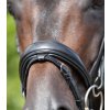 Uzdečka Premier Equine Stellazio
