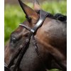 Uzdečka Premier Equine Stellazio