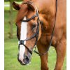 Glorioso Grackle Bridle Black 1 1024x