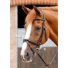 8 Delizioso Snaffle Bridle Black Webx900