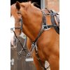 Invorio 5 Point Breastplate RGBx900