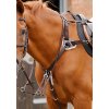 Invorio 5 Point Breastplate Brown Horse Webx900